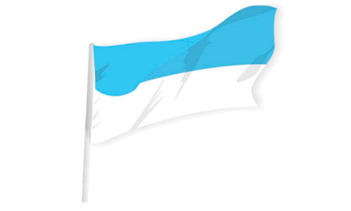 Bandera Institucional